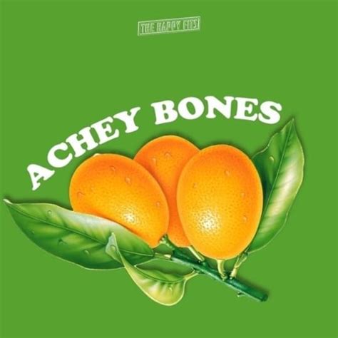 The Happy Fits Achey Bones Lyrics Genius Lyrics