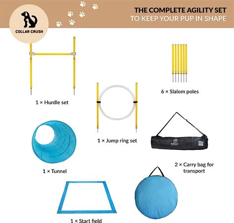 Dog Agility Training Equipment - The Online Doggy Shop