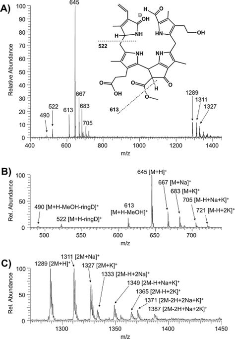 A Esi Mass Spectrum In The Positive Ion Mode Of The Ncc 1 And Download Scientific Diagram