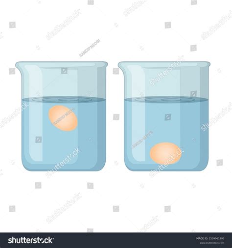 2419 Egg Floating In Water Images Stock Photos And Vectors Shutterstock