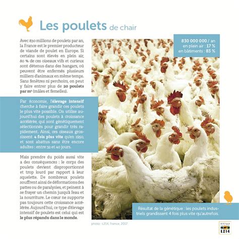 Nourrir Les Hommes Outils Pédagogiques L214 Éducation