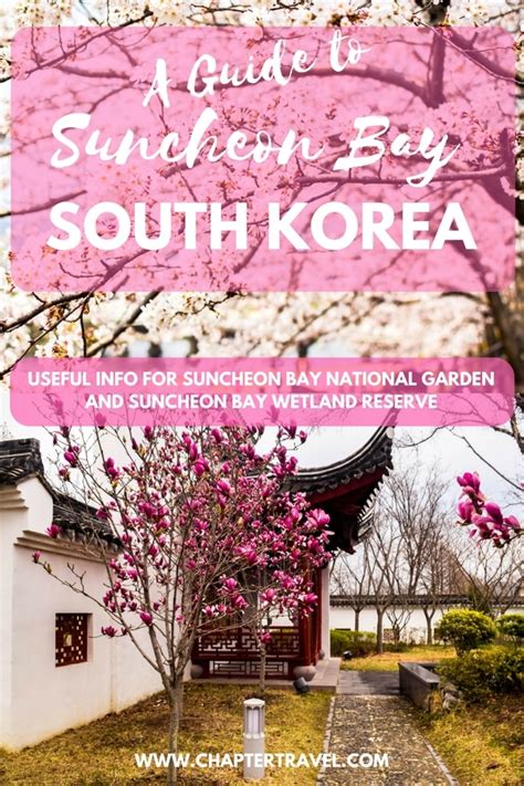 Guide to Suncheon Bay National Garden - Chapter Travel