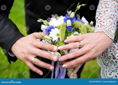 Manos Con Los Anillos De Bodas Foto De Archivo Imagen De Novio