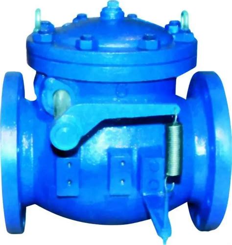 Bs 5153 Pn16 Cast Iron Air Cushion Swing Check Valve For Hvac Buy Bs 5153 Swing Check Valve