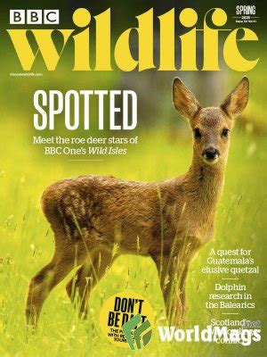 Bbc Wildlife Magazine Spring Pdf Digital Magazines