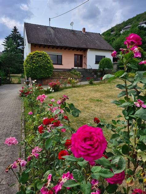 Haus Zum Verkauf Rheinland Pfalz Niederzissen Mapio Net