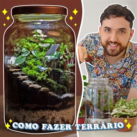 Como fazer terrário fechado em casa O passo a passo de como fazer um