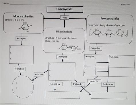 Solved Carbohydrate Graphic Organizer Assignment Objective