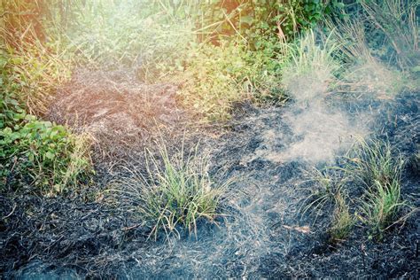 Grass Fire Stock Photos, Images and Backgrounds for Free Download