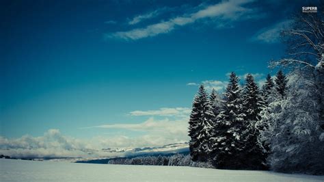 Wallpaper Sunlight Trees Lake Nature Reflection Sky Snow