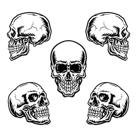 Conjunto De Calaveras En Diferentes Posiciones Vector Premium