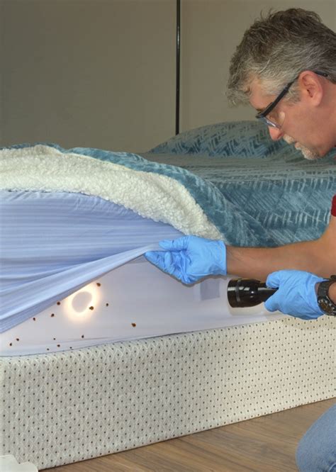 Bed Bug Treatment Gary - Bedbug Exterminators Emergency Residential