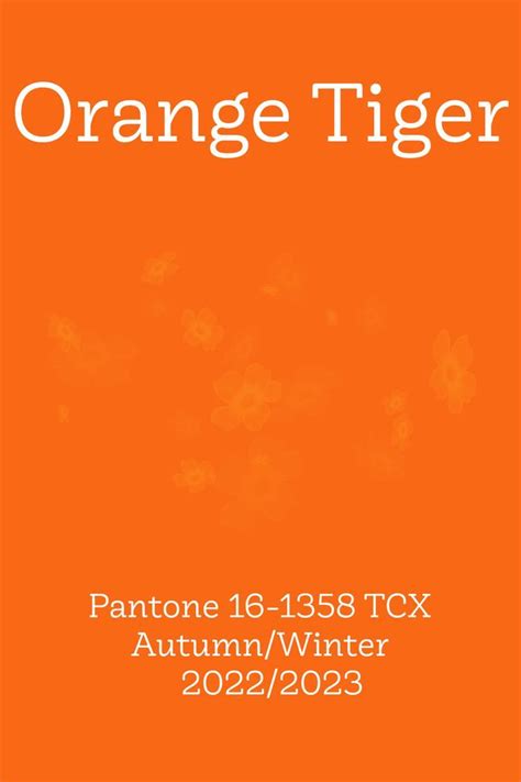 An Orange Book Cover With The Words Orange Tiger On It