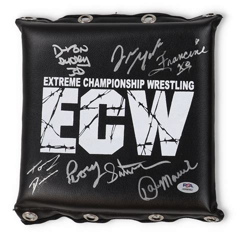 ECW Turnbuckle Pad Signed by (6) with Devon Dudley, Francine, Tommy ...