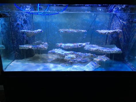 Floating Reef Build Reef2reef Saltwater And Reef Aquarium Forum