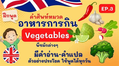 คำศัพท์ หมวดอาหาร Vegetablesภาษาอังกฤษในชีวิตประจำวันเรียนภาษาอังกฤษ