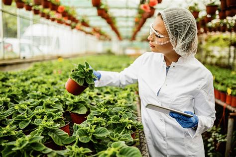 Seremi De Agricultura Hace Llamado A Postular Al Premio Nacional Mujer