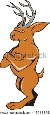 Jackrabbit Cartoon Stock Images, Royalty-Free Images & Vectors ...