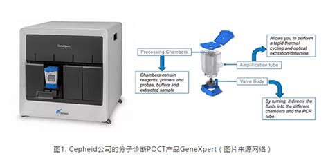 分子诊断poct类产品分析