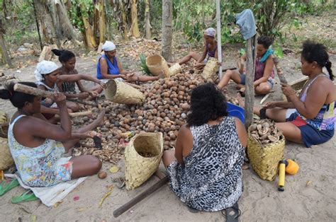 Quebradeiras de coco babaçu na Amazônia luta em defesa das