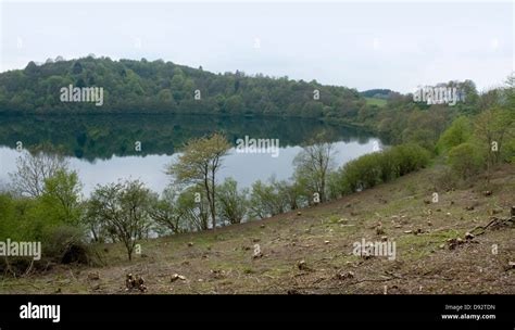 Idyllische Landschaft Zeigt Ein Maar In Der Vulkan Eifel Wich Ist Eine