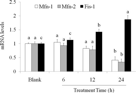 Effects Of Cordycepin On A Mfn1 B Mfn2 And C Fis1 MRNA Levels