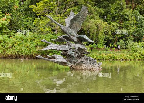 Singapore Botanic Gardens Swan Sculpture Sculpture Of Swans Taking