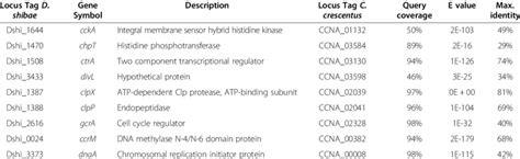 Homologs Of Cell Cycle Related Genes From Caulobacter Crescentus Na1000