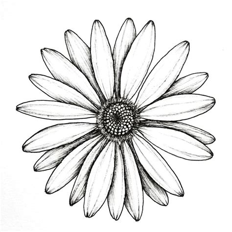 Pin van Elmira op tekenen | Zonnebloem tekening, Bloemen tekenen, Madeliefjes tatoeage