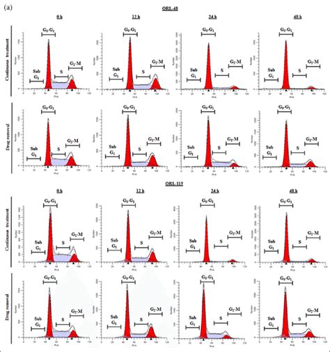 Dasatinib Exhibits Reversible Cell Cycle Arrest In Orl Cell Lines Download Scientific Diagram