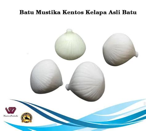 Batu Mustika Kentos Kelapa Asli Batu Lazada Indonesia