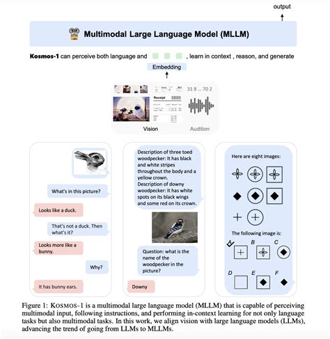 X LLM Bootstrapping Advanced Large Language Models By 43 OFF