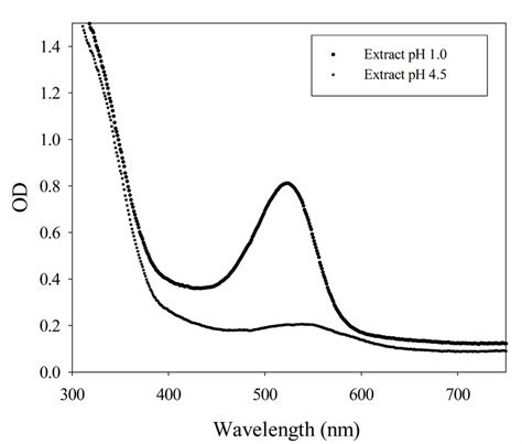 Ultraviolet Absorption Spectrum Of Red Cabbage Methanolic Extract In