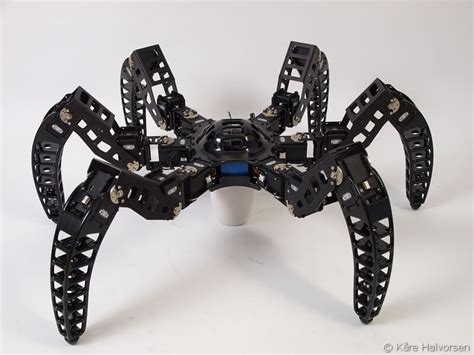 3D Printed Spider Robot Looks As Scary As The Real Thing | TechTheLead