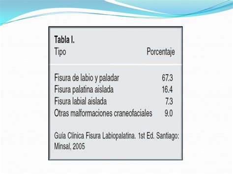 Arcos Faringeos Y Paladar Hendido Ppt