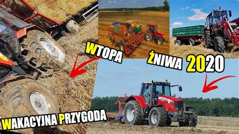 Wakacyjna Przygoda Vixa Niwa O O Na Pe Nej Ma A Wtopa Belara