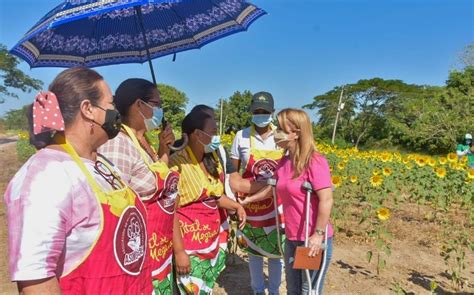 Mas De 6 Mil Visitantes Estuvieron En Primer Fin De Semana De La Ruta Del Girasol En El