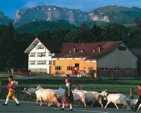 2024 O Que Fazer Em Appenzell Os 10 Melhores Pontos Turísticos Tripadvisor