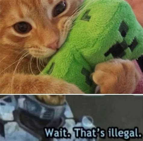 Cat And Creeper Best Friends 👍 R Minecraftmemes