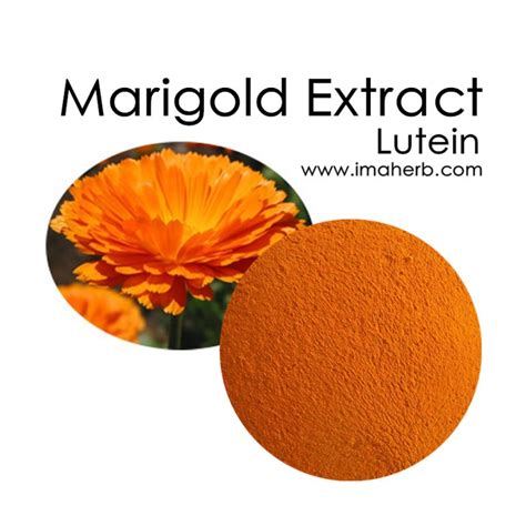 Marigold Flower Extract Lutein Xanthophyll Zeaxanthin