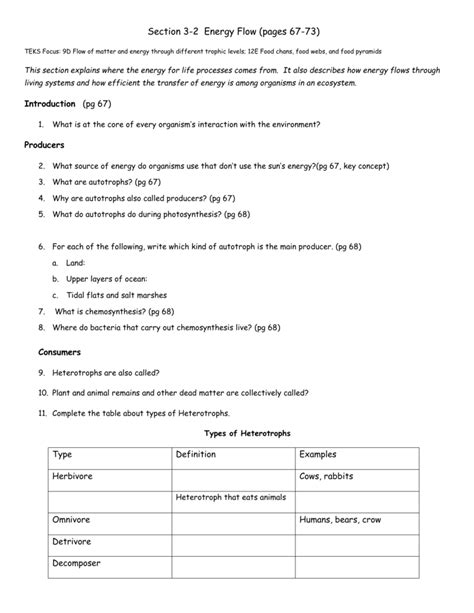 Energy Flow Worksheets