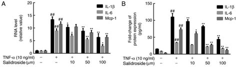 Salidroside Prevents Tumor Necrosis Factor Induced Vascular