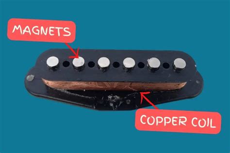 Neck Vs Bridge Pickup Key Differences Explained Roundtable Audio