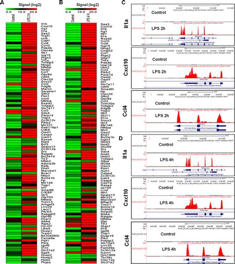 Rna Seq Analysis Reveals Lps Stimulated Pro Inflammatory Gene