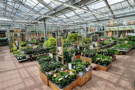 Floraland Pflanzen Hagebaumarkt Ettlingen