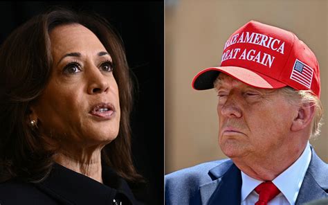 Elezioni Presidente Usa 2024 I Sondaggi Sulla Sfida Trump Harris Stato Per Stato Sky Tg24