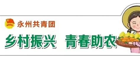 乡村振兴 青春助农道县直播吹响助农“集结号”，青春带货我先行！道州鲊肉毛泽东