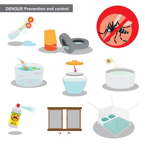 C Mo Prevenir El Dengue En Casa Y Cada Espacio Ciencuadras