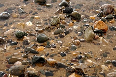 Plage Cailloux Coquilles Photo Gratuite Sur Pixabay Pixabay