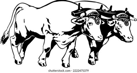 738 Yoke Oxen Images, Stock Photos, 3D objects, & Vectors | Shutterstock